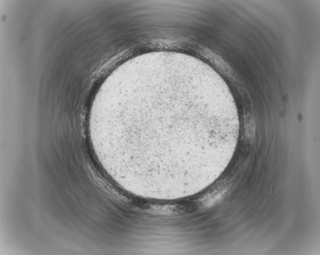 X0000085270450200704092144