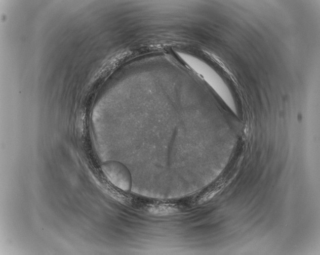 X0000085270451200704092144