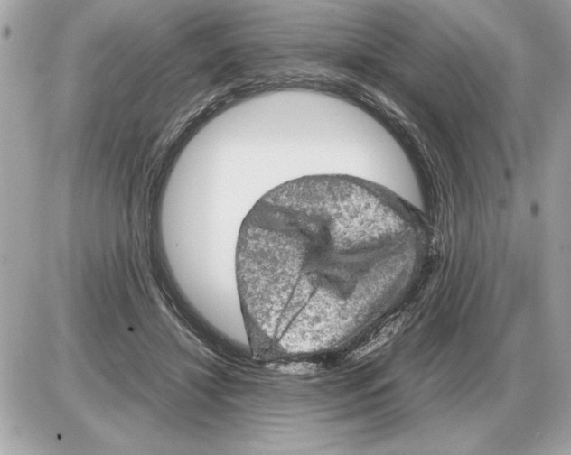 X0000085270452200704092144