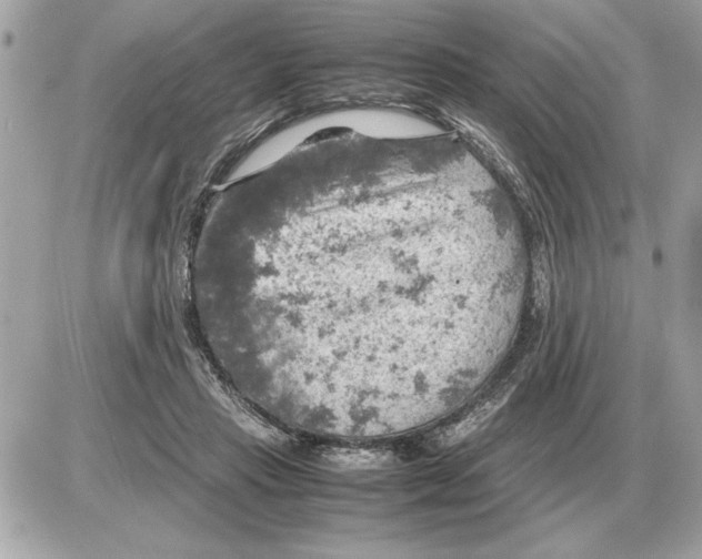 X0000085270453200704092144