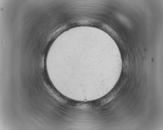 X0000085270454200704092144