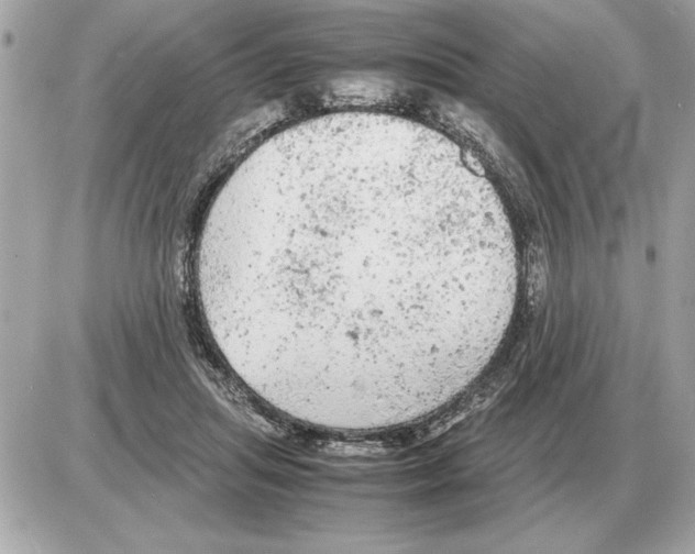 X0000085270455200704092144