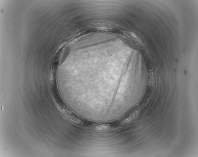 X0000085270456200704092144