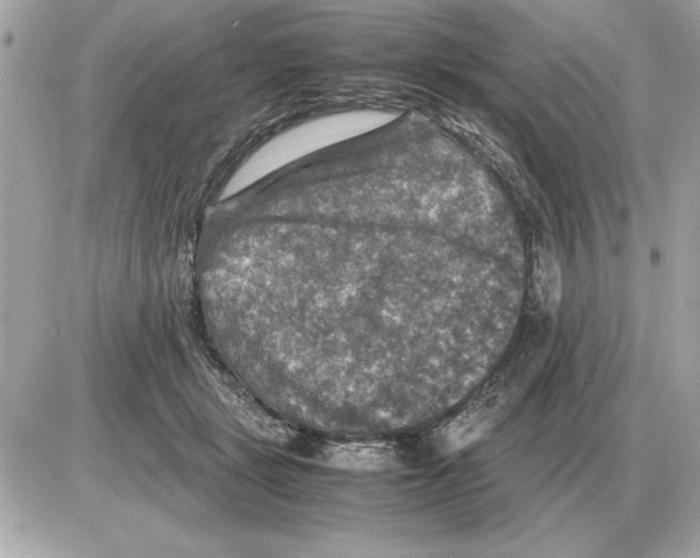 X0000085270461200704092144