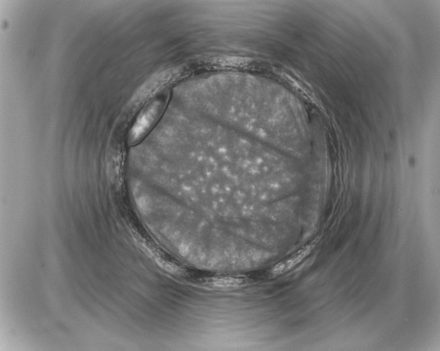 X0000085270462200704092144