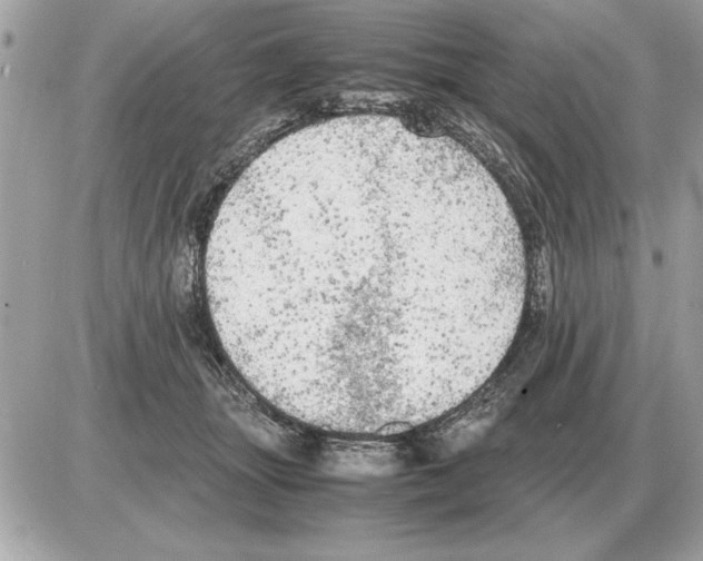 X0000085270463200704092144