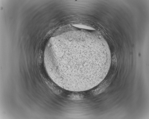 X0000085270464200704092144