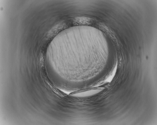 X0000085270465200704092144