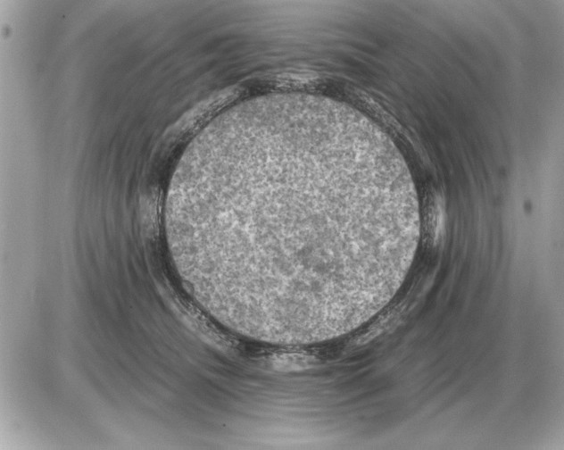 X0000085270468200704092144