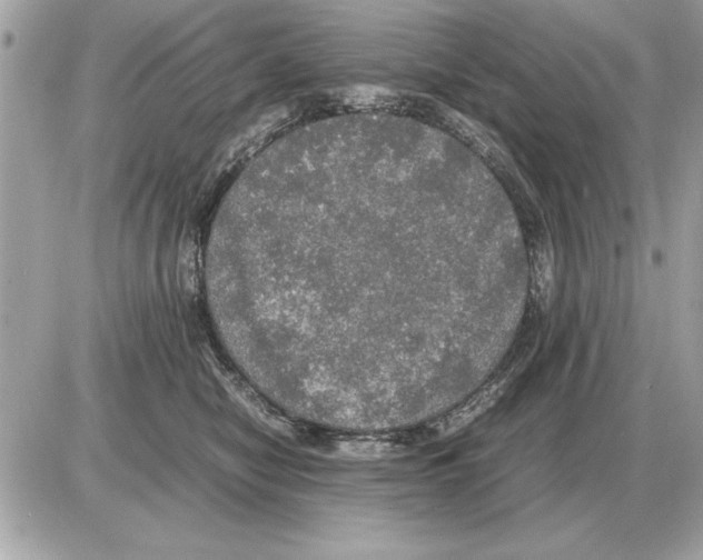 X0000085270470200704092144