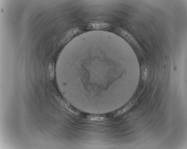 X0000085270471200704092144