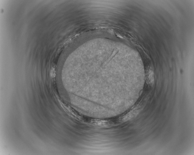 X0000085270472200704092144