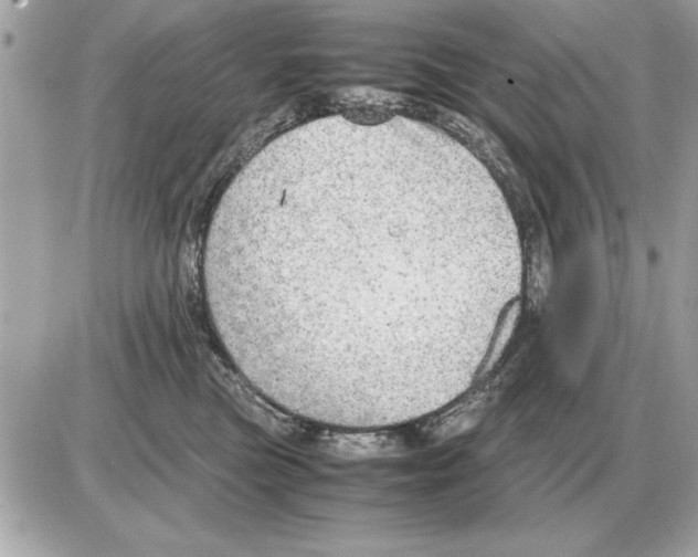 X0000085270473200704092144