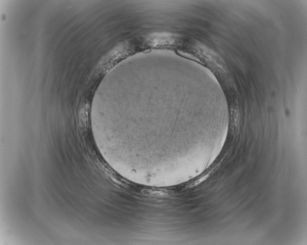 X0000085270475200704092144