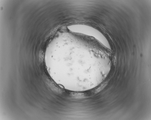 X0000085270476200704092145