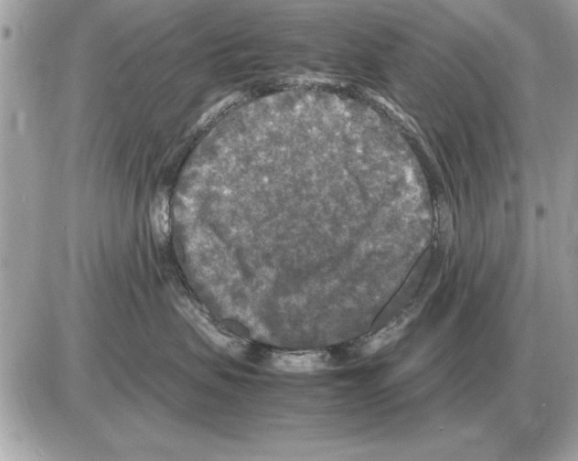 X0000085270479200704092145