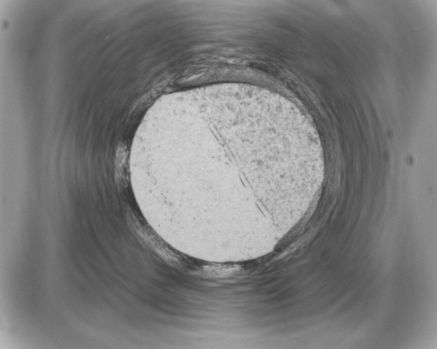 X0000085270480200704092145