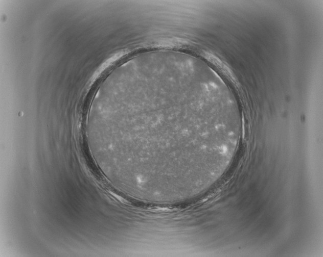 X0000085270483200704092144