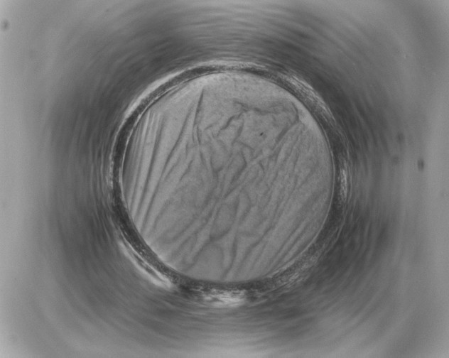 X0000085270484200704092144