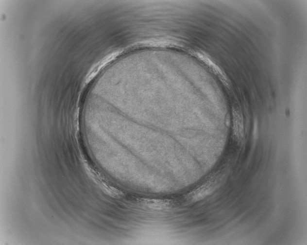 X0000085270486200704092144