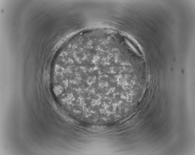 X0000085270487200704092144