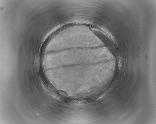 X0000085270488200704092144