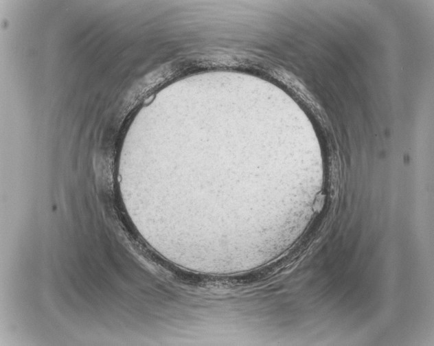 X0000085270489200704092144