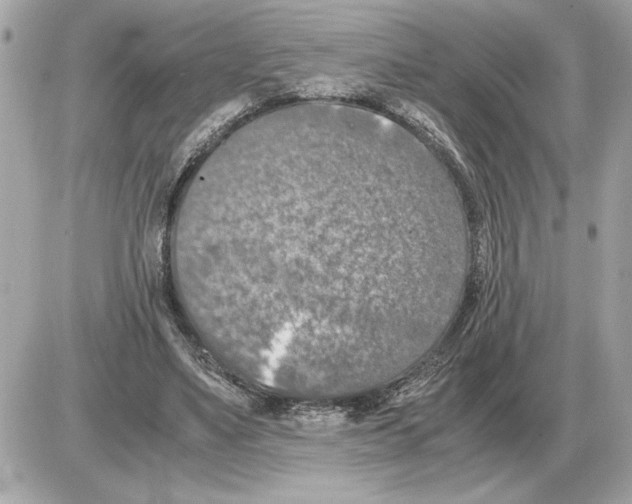 X0000085270491200704092144