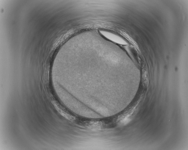 X0000085270493200704092144