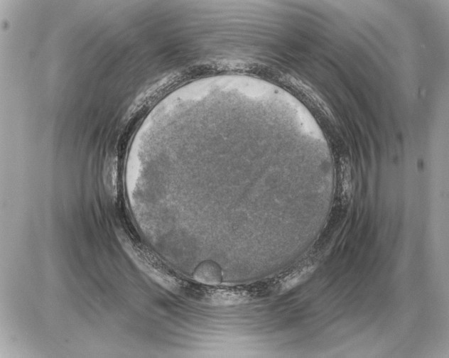 X0000085270494200704092144