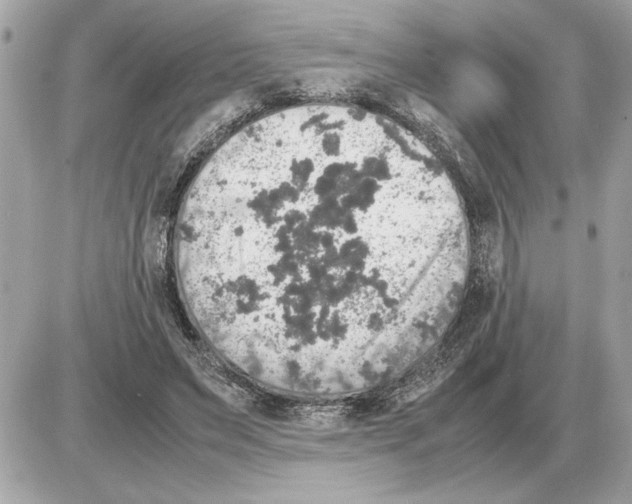 X0000085270495200704092144