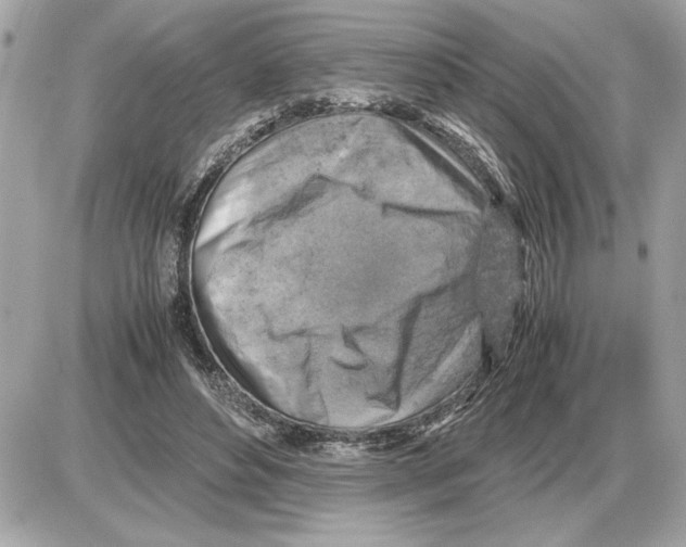 X0000085270496200704092144