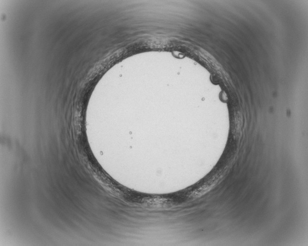 X0000085270497200704092144