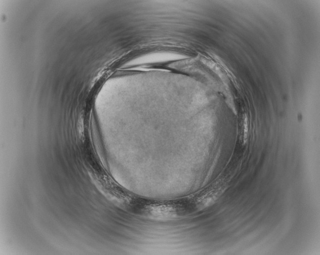 X0000085270500200704092143