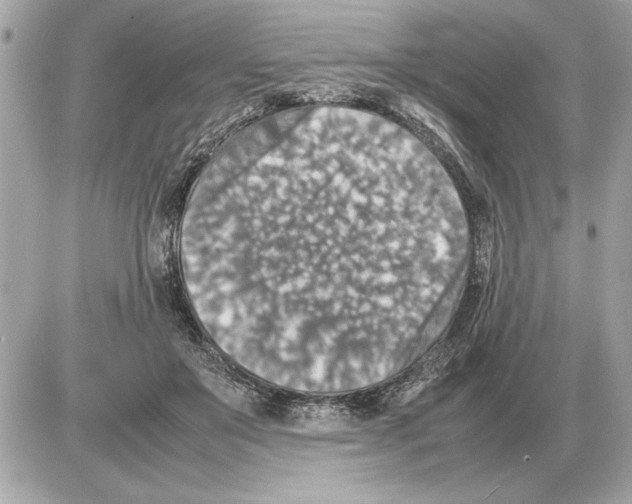 X0000085270503200704092143