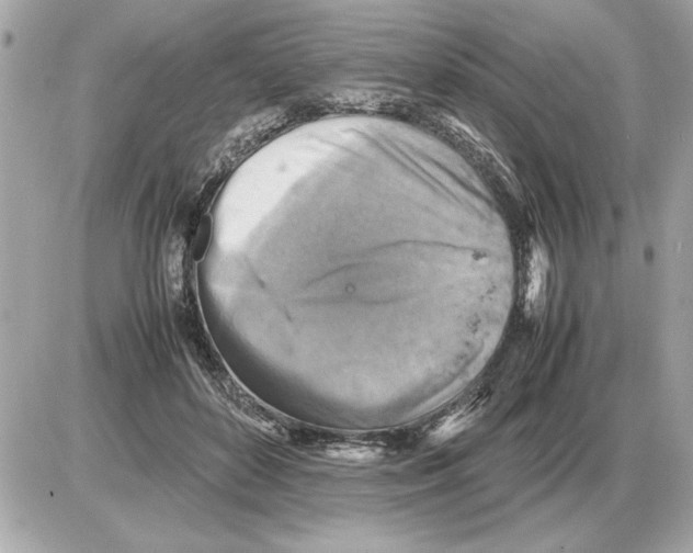 X0000085270504200704092143