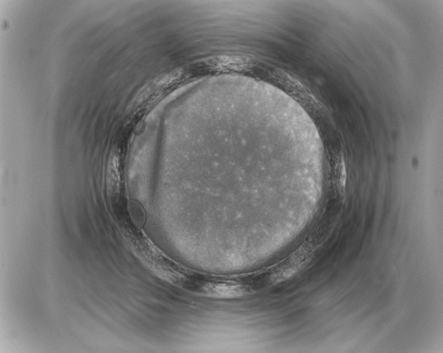 X0000085270506200704092143