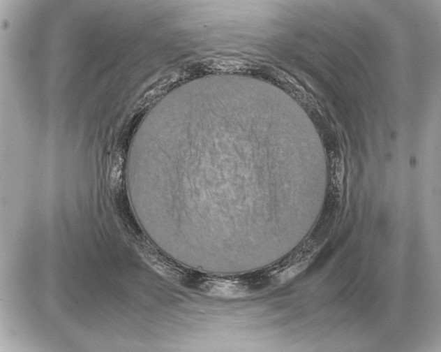 X0000085270507200704092143