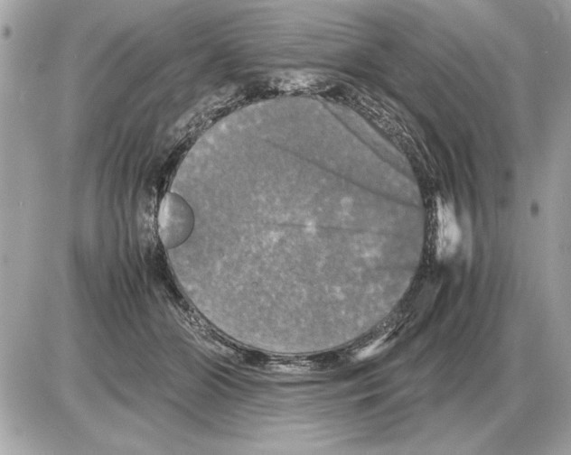 X0000085270510200704092143