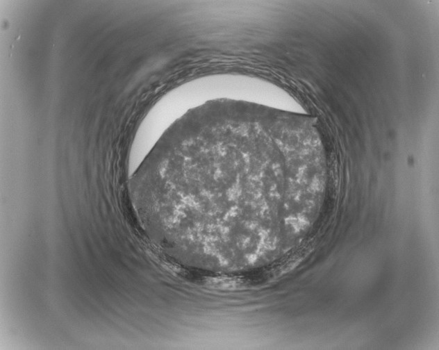 X0000085270511200704092143