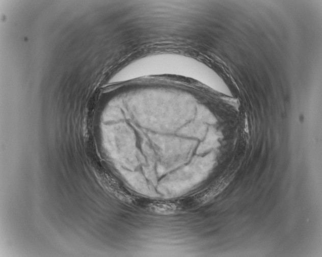 X0000085270512200704092143