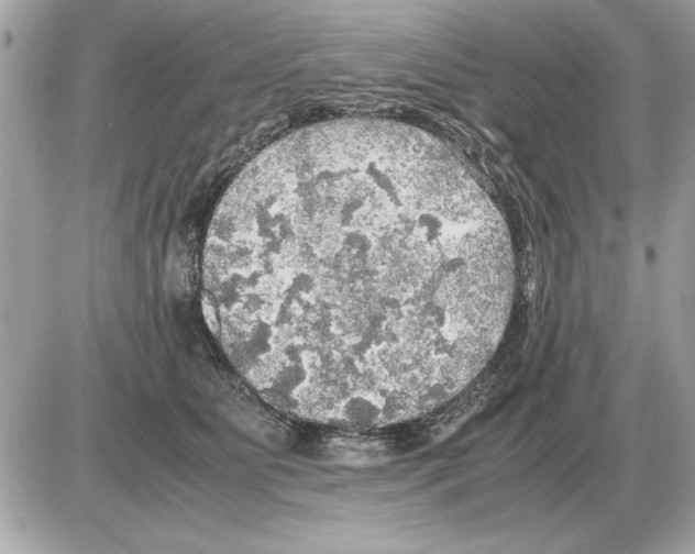 X0000085270515200704092143