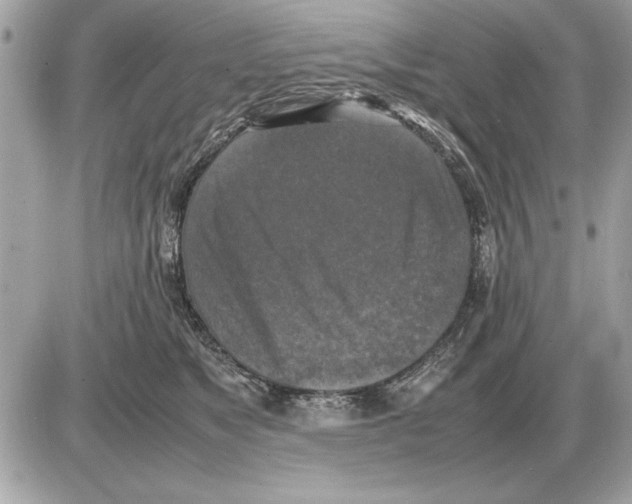 X0000085270517200704092143