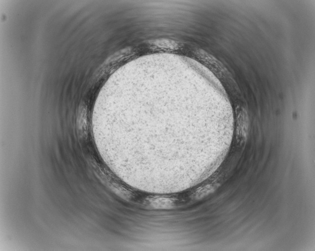 X0000085270518200704092143