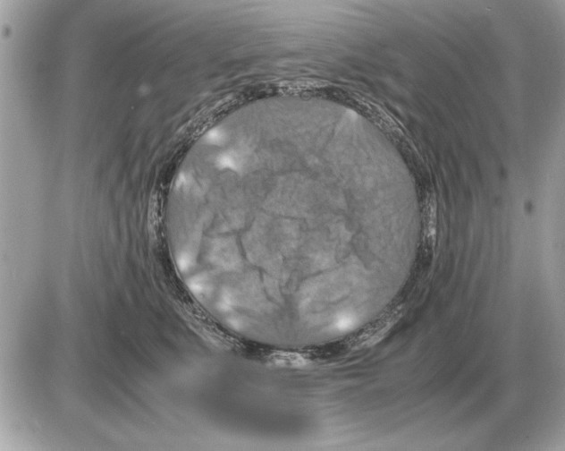 X0000085270519200704092143