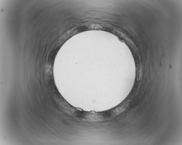 X0000085270521200704092143