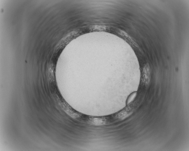 X0000085270522200704092143