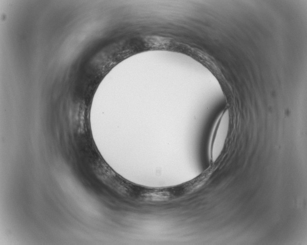 X0000085270525200704092143