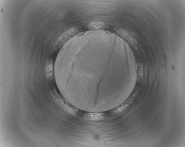 X0000085270526200704092143