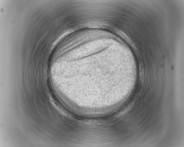 X0000085270530200704092142